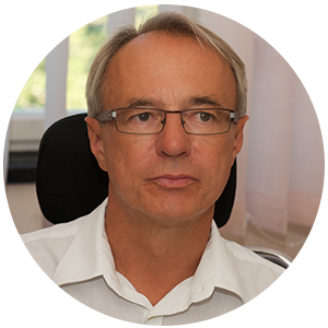 prof. dr. sc. Veselin Škrabić dr. med.